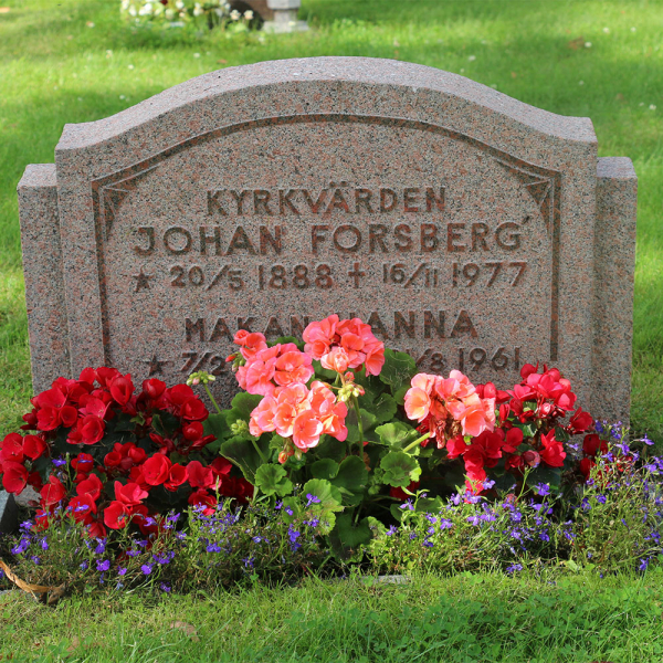 Johan och Hanna Forsberg i gruppen Värmland / Säffle / Millesvik kyrkogård hos Kyrkogårdsvandring (060235-36R)