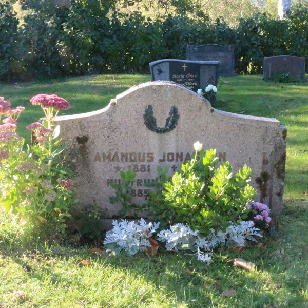 Amandus och Amelia Jonasson i gruppen Värmland / Säffle / Svanskog kyrkogård hos Kyrkogårdsvandring (1101185R)
