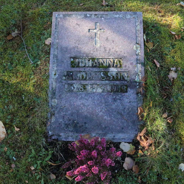 Johanna Andersson i gruppen Värmland / Säffle / Svanskog kyrkogård hos Kyrkogårdsvandring (110139)