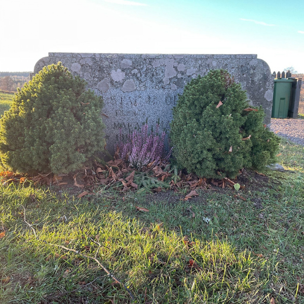Gustaf och Maria Olsson  i gruppen Vrmland / Sffle / Lngserud kyrkogrd hos Kyrkogrdsvandring (120543R)