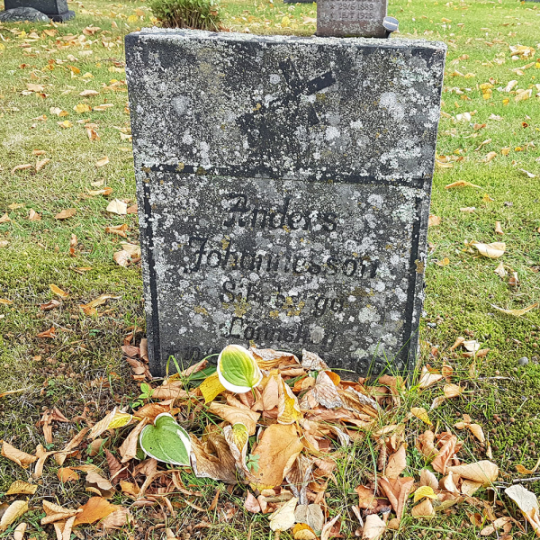 Anders Johannesson i gruppen Vrmland / Sffle / Lngserud kyrkogrd hos Kyrkogrdsvandring (121183)