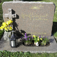 Hans Albert Söderquist