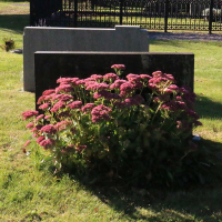 Gustaf och Kajsa Eld