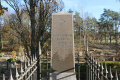 Lovisa Augusta Werling Lovisa Augusta Werling